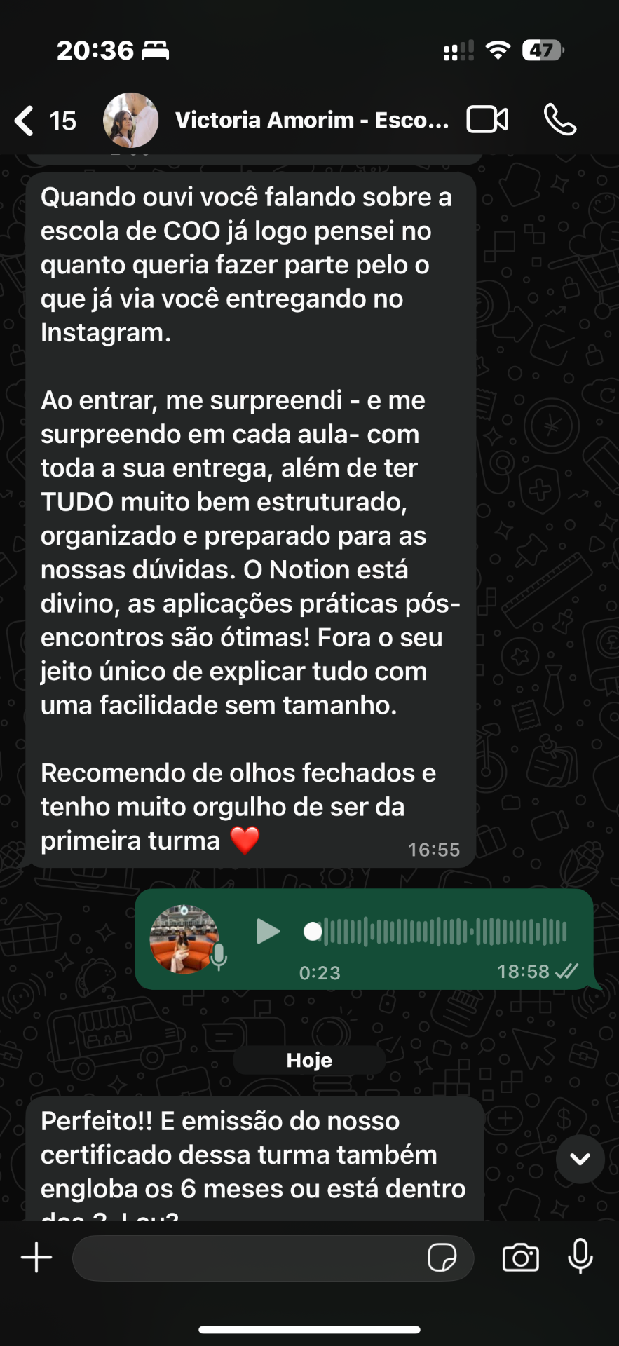Depoimento Victoria Amorim